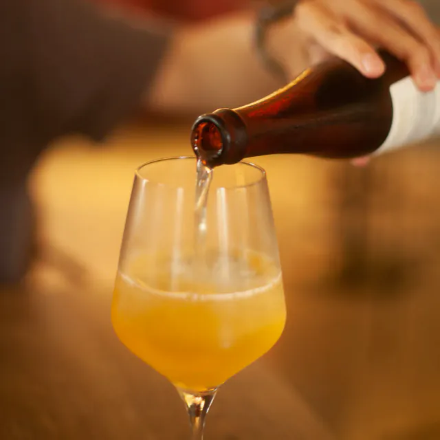 Fermenta Zero