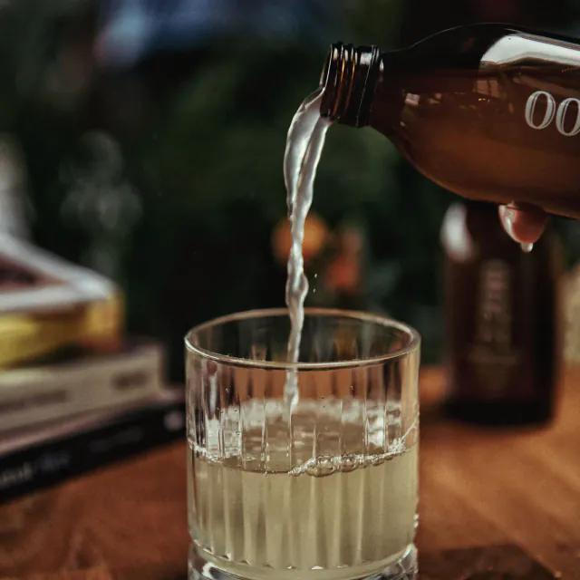 Fermenta Botanica