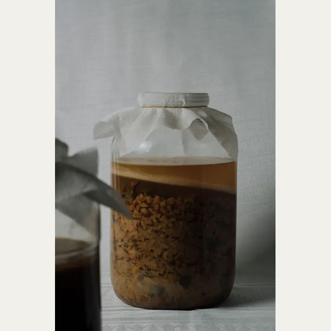 Brew-Your-Own SCOBY Kit