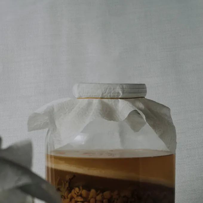 Brew-Your-Own SCOBY Kit